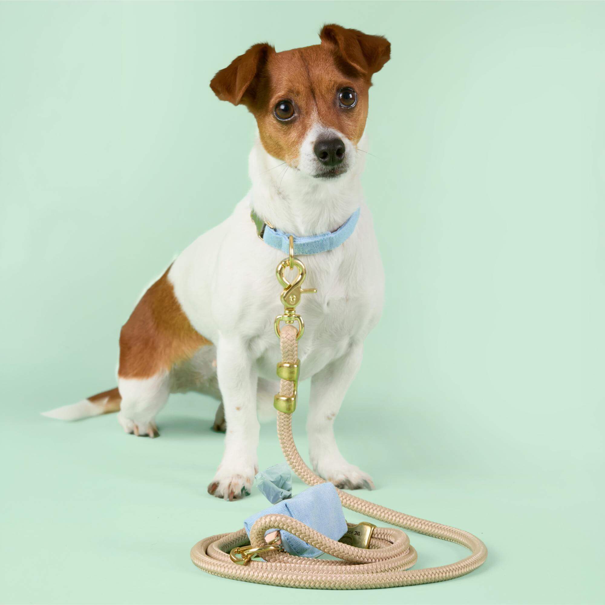 Flax Marine Rope Dog Leash