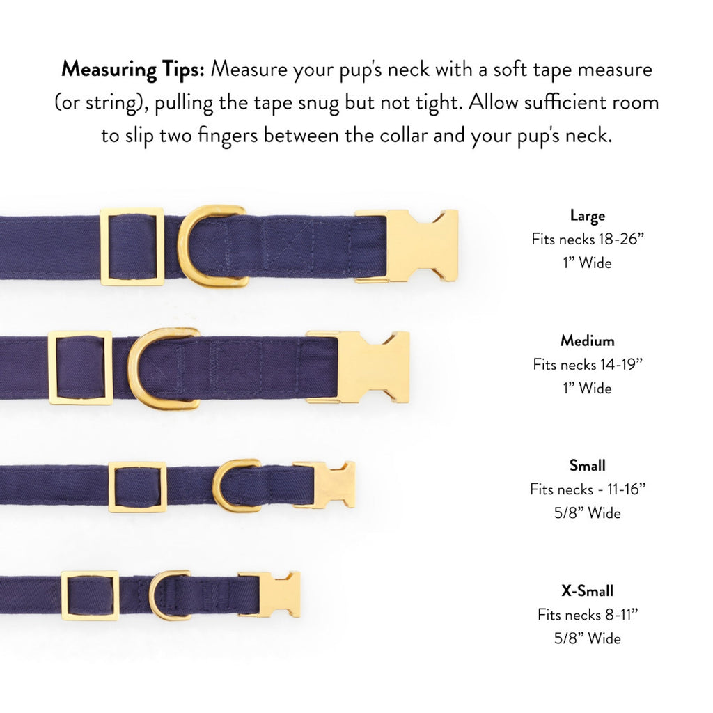 Camden Striped Webbing Collar Walk Set