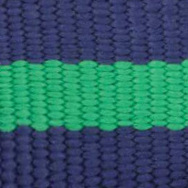 Camden Striped Webbing Collar Walk Set