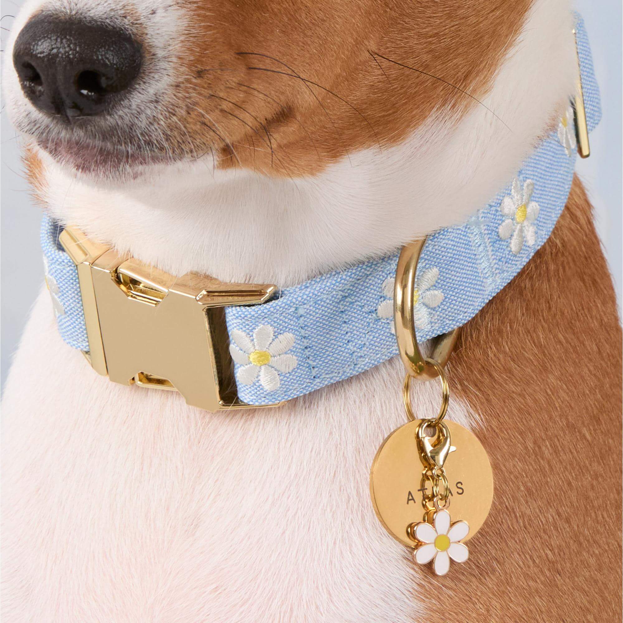 Daisy Embroidered Dog Collar