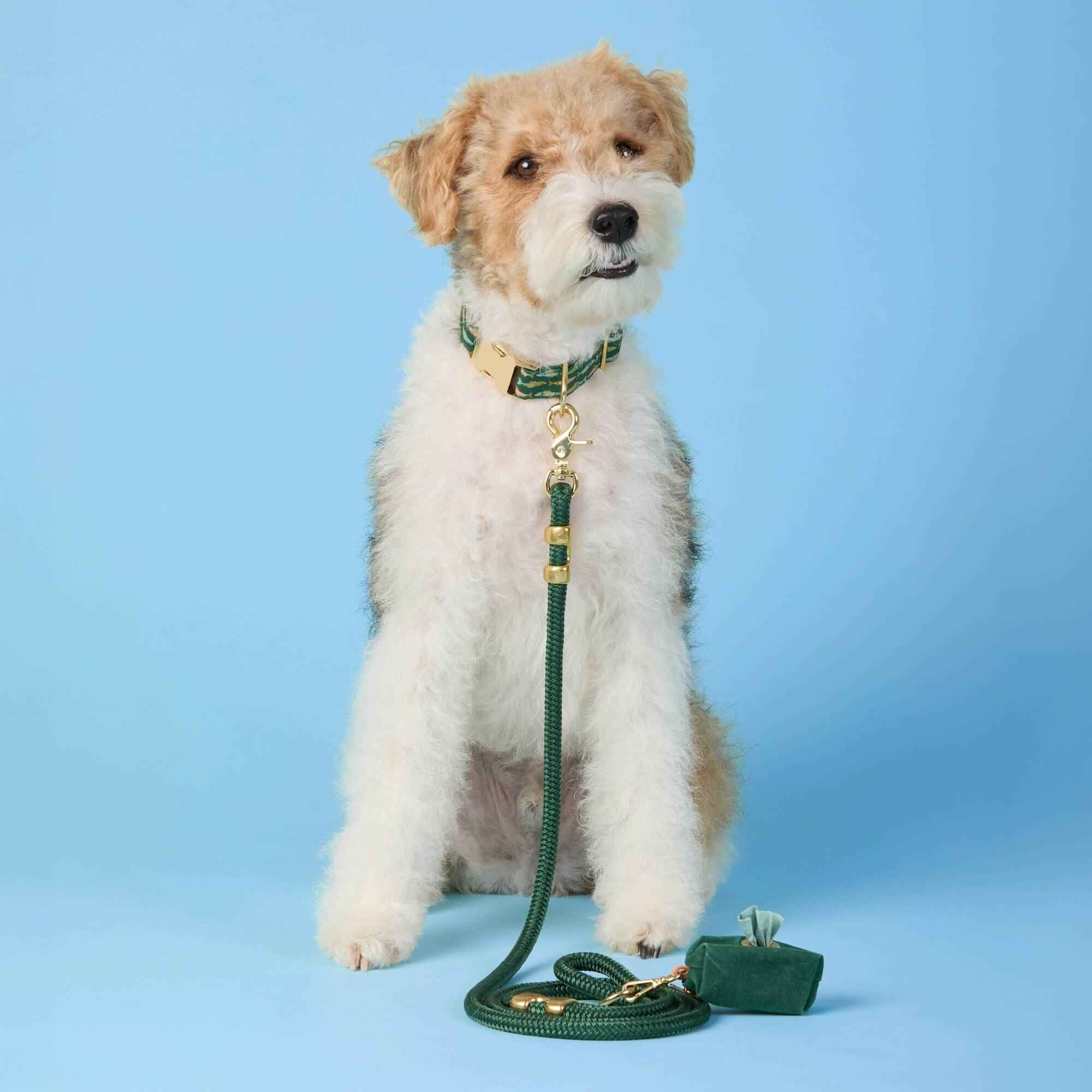 Evergreen Marine Rope Dog Leash