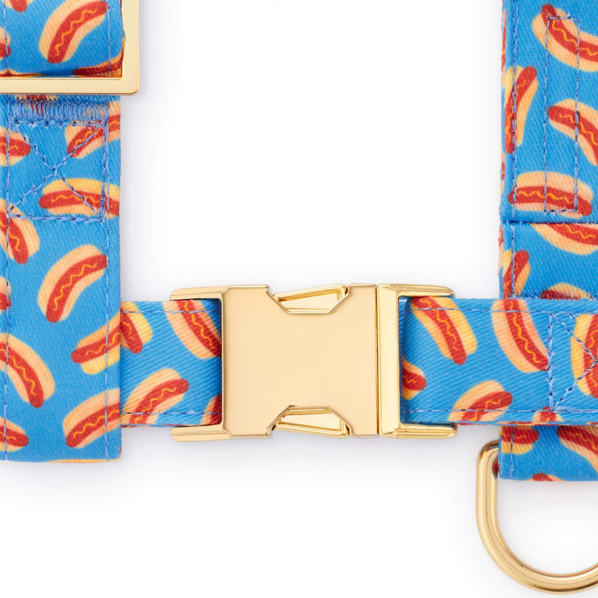 Hot Diggity Harness Walk Set