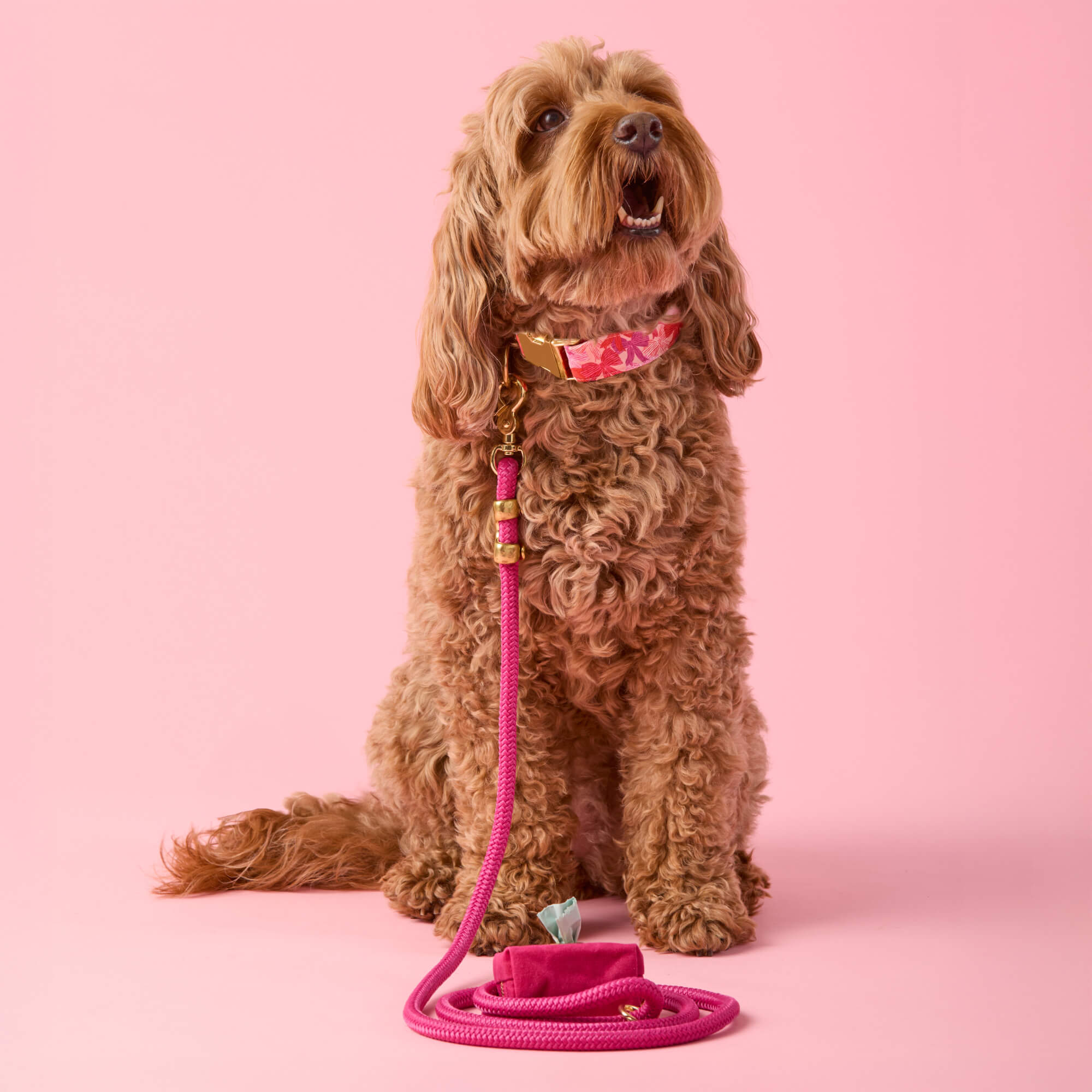 Hot Pink Marine Rope Dog Leash